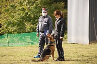 災害救助犬試験