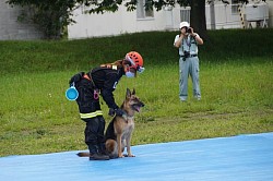 災害救助犬