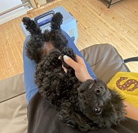 体を自由に触らせるトレーニング中