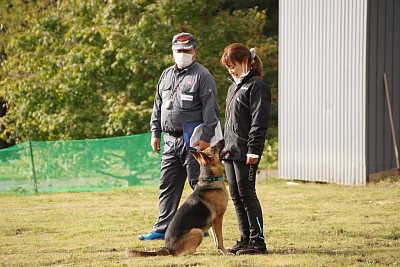 災害救助犬試験