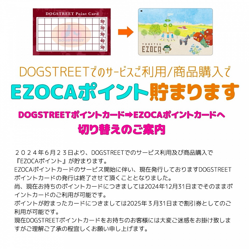 EZOCAポイントカード