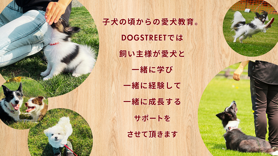 DOGSTREET