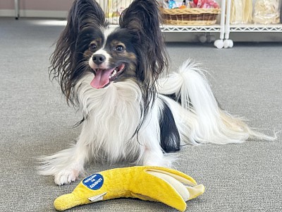 カウンセリング