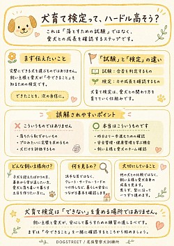 犬育て検定